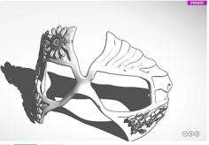 Flower Mask 3D Printer Model