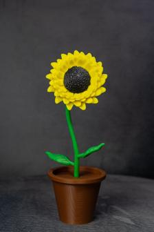 Sunflower With Pot 3D Printer Model