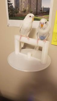 Modular Bird Perch For Walls 3D Printer Model