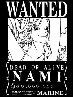 Wanted Poster Nami 3D Printer Model