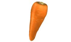 The Carrot 3D Printer Model