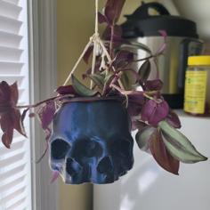 Triclops Skull Planter 3D Printer Model