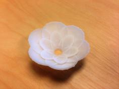 Flower Head 3D Printer Model