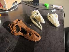 Tarbosaurus Skull, Sliced For Printing 3D Printer Model