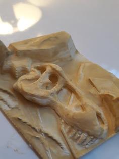 T-rex Excavation Site 3D Printer Model