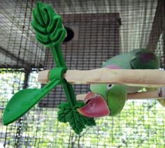 Naturalistic Wood Branch Bird Perch With Spinner Toy, Clip In For Welded Wire Mesh In Inches 3D Printer Model