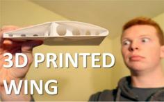 3D Printed Wing 3D Printer Model