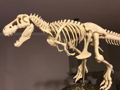 T-Rex Skeleton Fixed And Printable 3D Printer Model