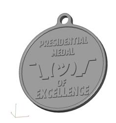 Shruggie Medal Of Excellence 3D Printer Model