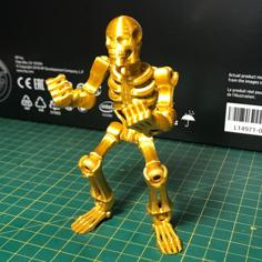 Skeleton – TinkerCad Kit 3D Printer Model