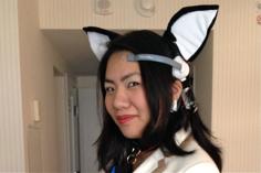 MindWave Cat Ears 3D Printer Model