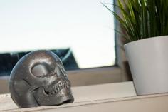 Skull 3D Printer Model