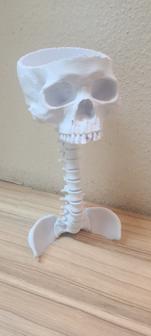 Skull Bowl On Spine 3D Printer Model