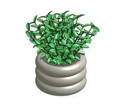 Pot For Plants And Succulents 3D Printer Model