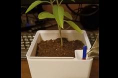 Overdesigned Self Watering Plant Pot With Wick Attachment 3D Printer Model