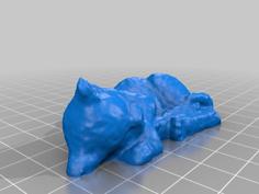 Cat Scan And Print At Home ! 3D Printer Model