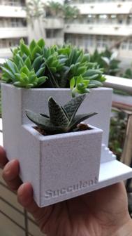 Cement Like Succulent Pot By Orangeteacher 3D Printer Model