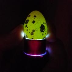 Egg Candler Attachment For Flashlight 3D Printer Model