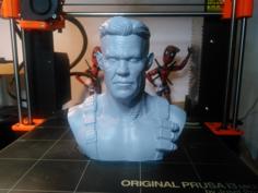 Cable Bust 3D Printer Model