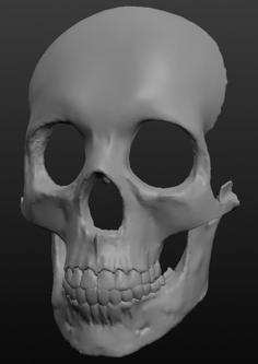 Skull Mask 3D Printer Model