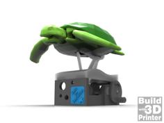 Save The Sea Turtles 3D Printer Model