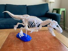 T-Rex Skeleton With Gastralia (belly Ribs) And Other Anatomical Fixes 3D Printer Model