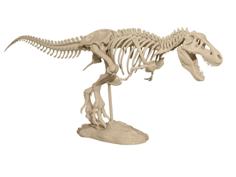 T-Rex Skeleton 3D Printer Model