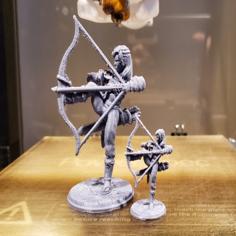 D&D Wan Han, The One Armed Samurai 3D Printer Model