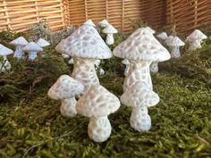 Stochastic Mushroom Magnets 3D Printer Model