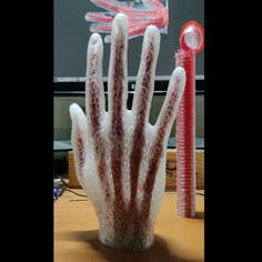 Hand With Bones (for Multi-material) 3D Printer Model