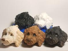 Labradoodle Head And Keychain 3D Printer Model