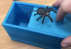 Spider Scare Box 3D Printer Model