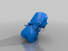 Meerak 3D Printer Model