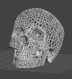 Skull (voronoi Style) 3D Printer Model