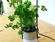 Minimalist Smart Planter 3D Printer Model