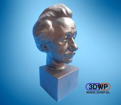 Albert Einstein Bust 3D Scan 3D Printer Model