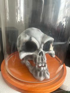 Murray The Demonic Talking Skull (Sea Of Thieves Version) 3D Printer Model