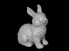 Cute Bunny – 3D Scan 3D Printer Model