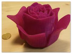 Open Rose 3D Printer Model