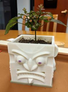 Evil Face Planter Base 3D Printer Model