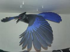 Steller’s Jay In Flight 3D Printer Model