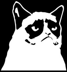 GRUMPY CAT 2D 3D Printer Model