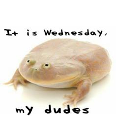 It Is Wednesday My Dudes Frog Meme 3D Printer Model