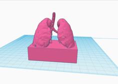 Lung Award 3D Printer Model