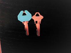 Encapsulated / Encased Key Cover For SC1 True Value Key 3D Printer Model