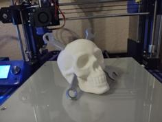 Mechanic Skull V2 3D Printer Model