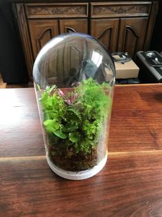 IKEA Plant Terrarium 3D Printer Model