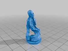 Shredskin 3D Printer Model