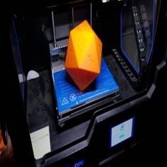 D20 3D Printer Model