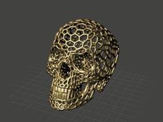 3D Vampire Skull Voronoi Mesh 3D Printer Model